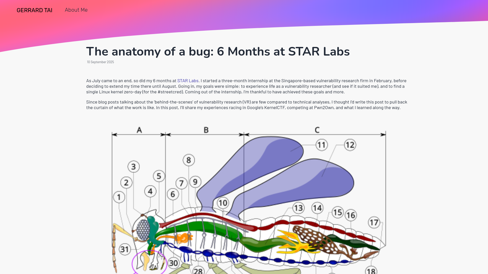 The anatomy of a bug: 6 Months at STAR Labs