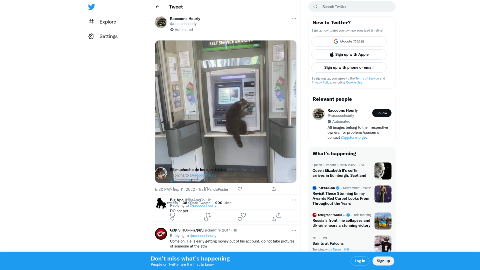 Raccoons Hourly on Twitter: "https://t.co/4ZHSLe1GvI" / Twitter