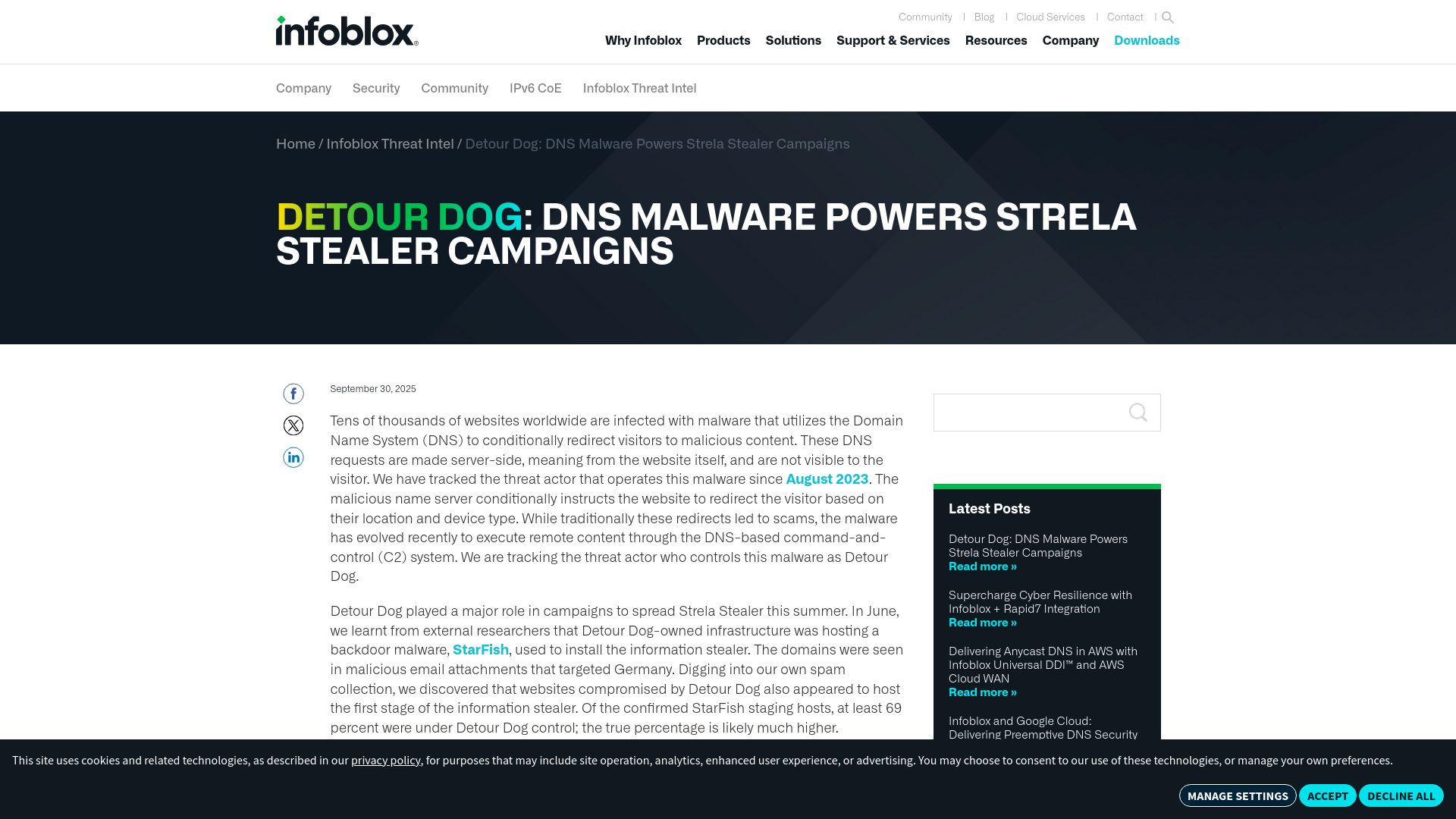 Detour Dog: DNS Malware Powers Strela Stealer Campaigns