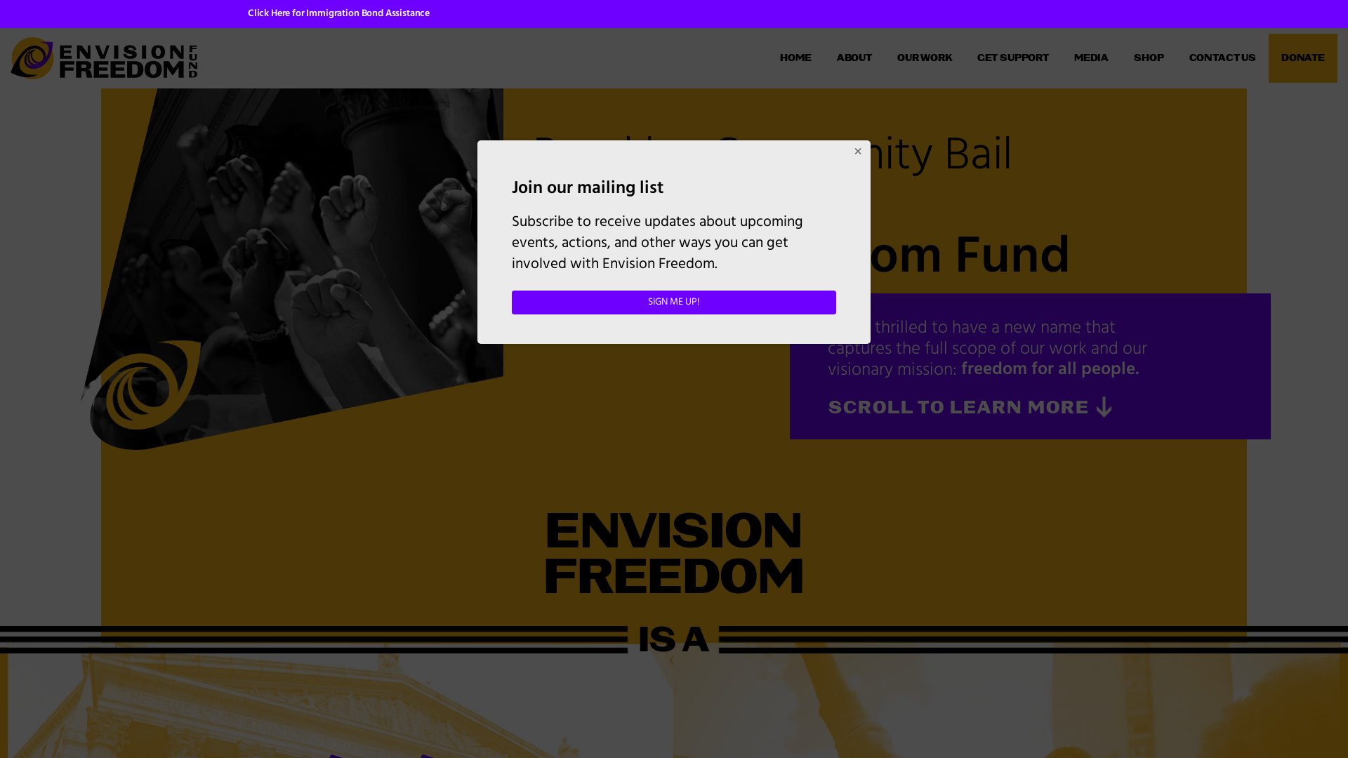 Home - Envision Freedom Fund