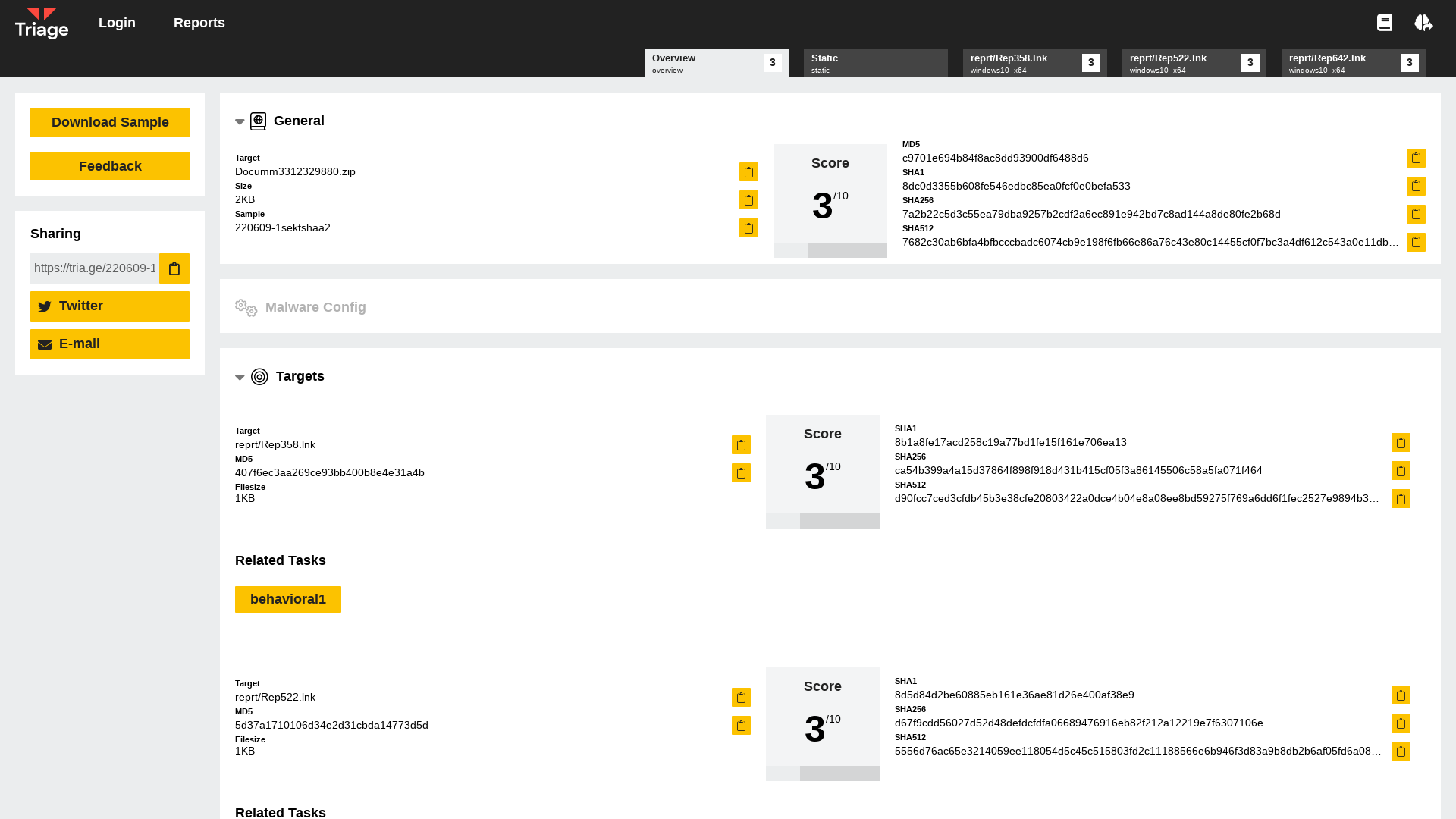 Hatching Triage | Malware sandboxing report by Hatching Triage