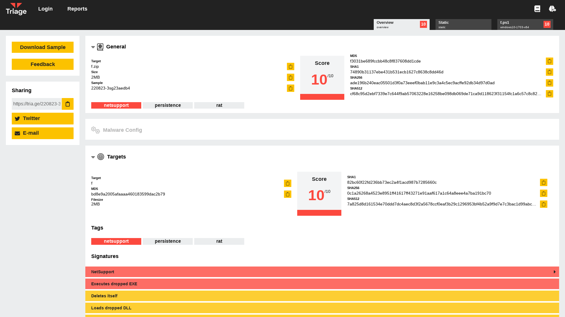 Hatching Triage | Malware sandboxing report by Hatching Triage