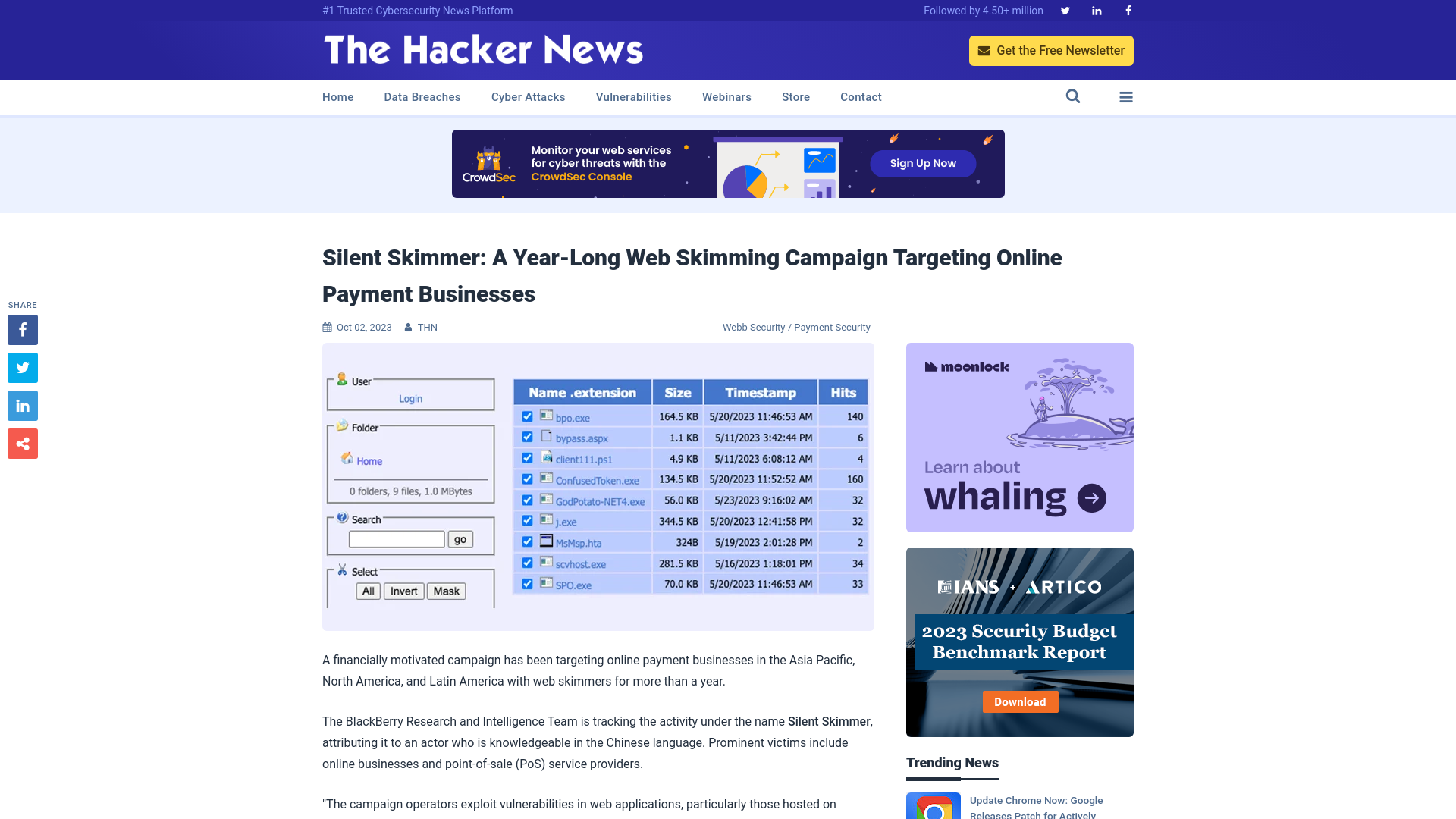 Silent Skimmer: A Year-Long Web Skimming Campaign Targeting Online Payment Businesses