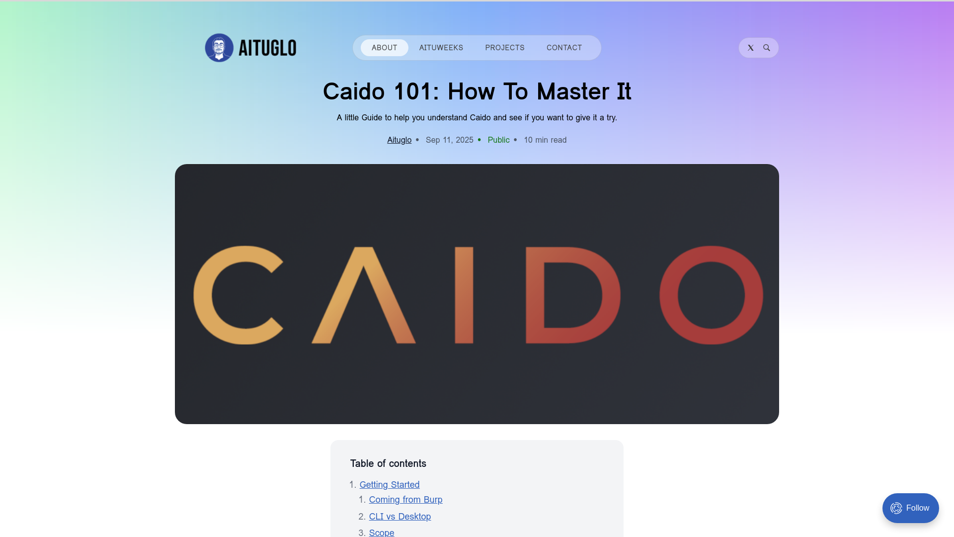 Caido 101: How to master it