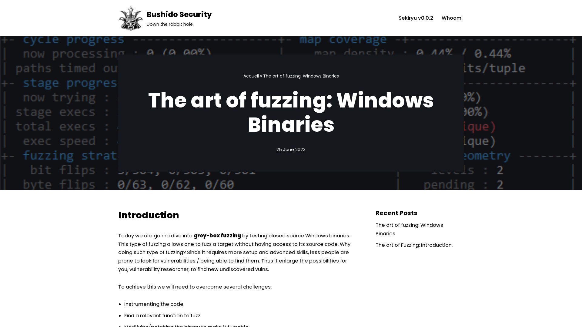 The art of fuzzing: Windows Binaries - Bushido Security