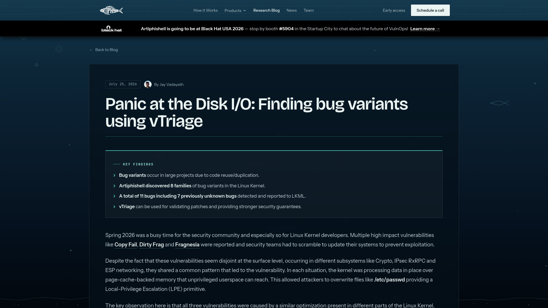 Panic at the Disk I/O: Finding bug variants using vTriage - Artiphishell