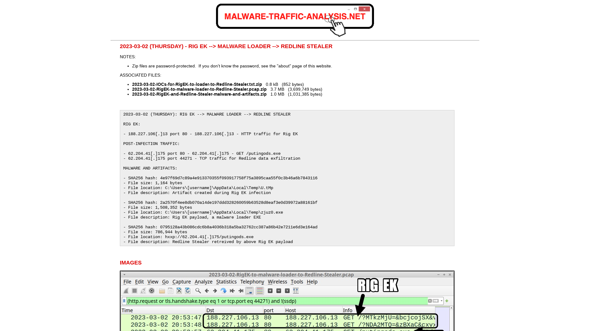 Malware-Traffic-Analysis.net - 2023-03-02 - Rig EK --> malware loader --> Redline Stealer