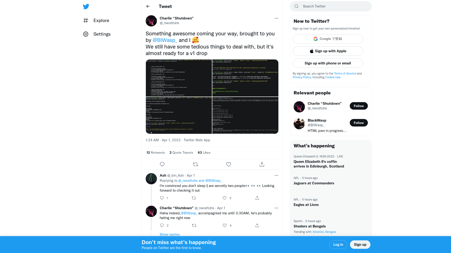Charlie “Shutdown” on Twitter: "Something awesome coming your way, brought to you by @BlWasp_ and I 🥰 We still have some tedious things to deal with, but it's almost ready for a v1 drop https://t.co/7yMTpSC5k4" / Twitter