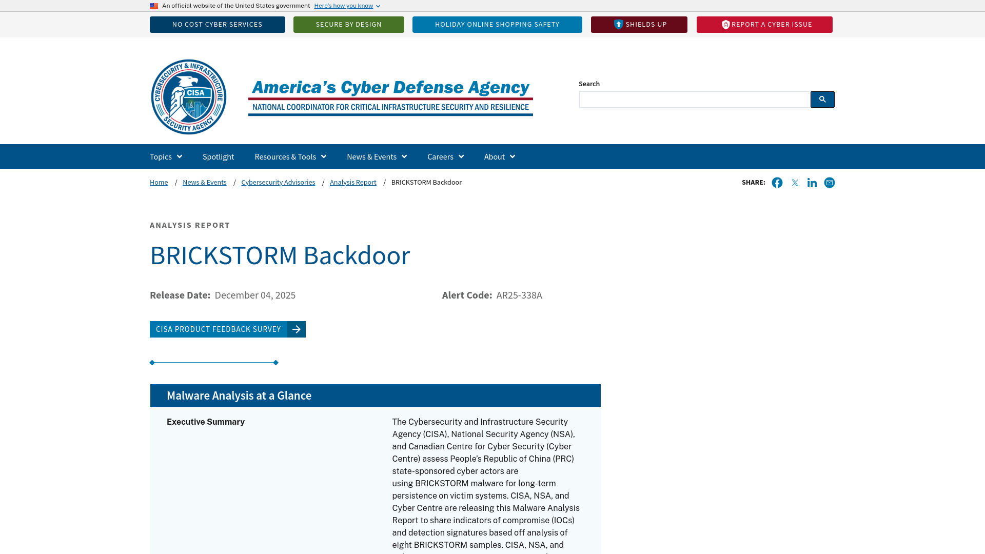 BRICKSTORM Backdoor | CISA