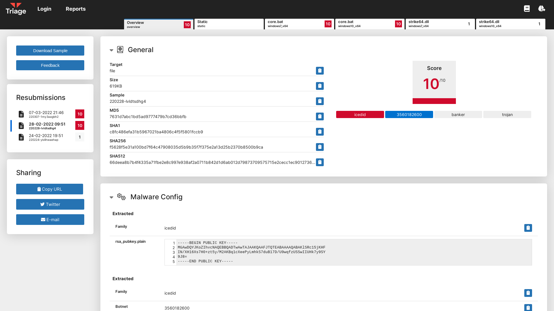 Triage | Malware sandboxing report by Hatching Triage