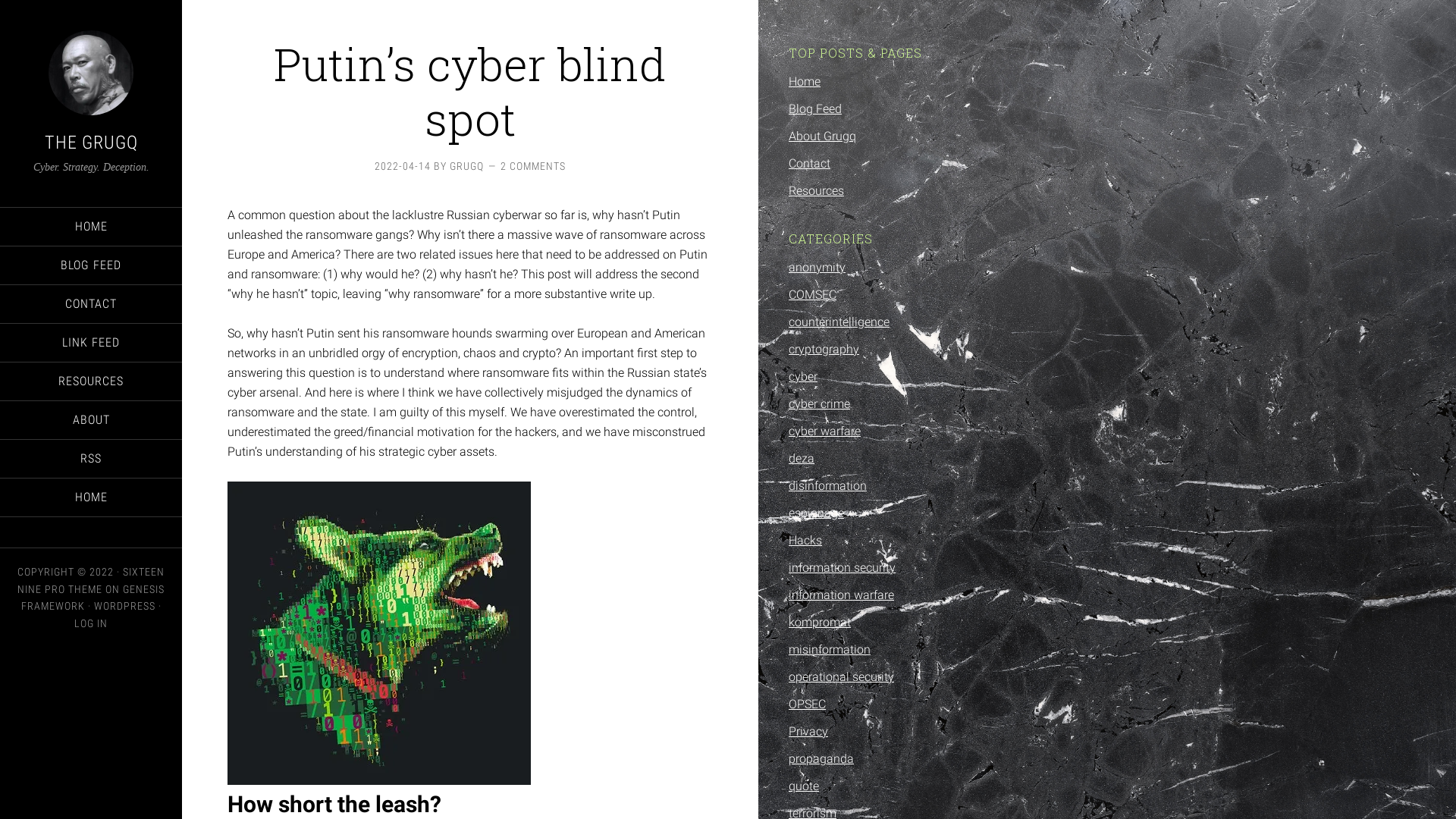Putin’s cyber blind spot