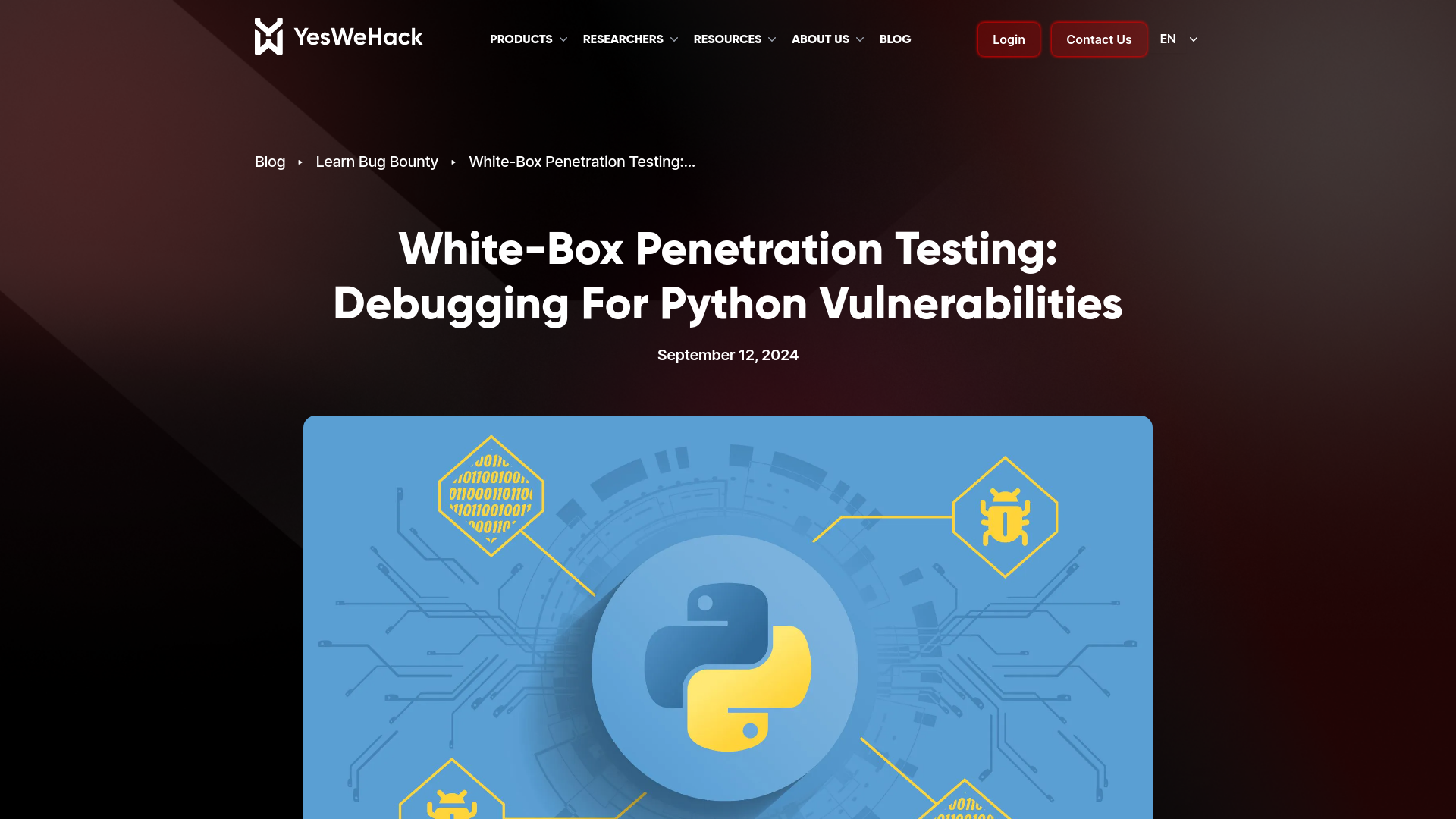 White-box penetration testing: Debugging for Python vulnerabilities