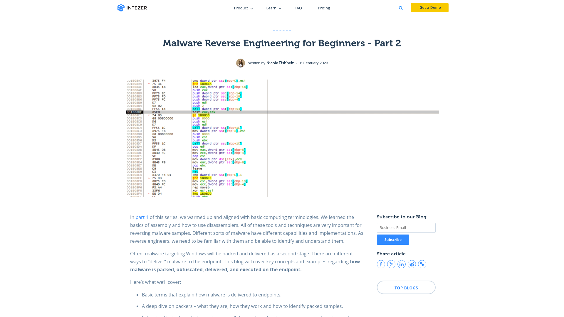 Malware Reverse Engineering for Beginners - Part 2